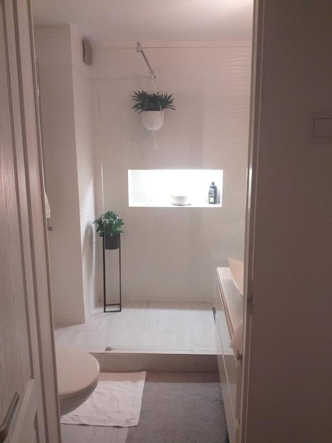 Winter Dream Apartament Brașov